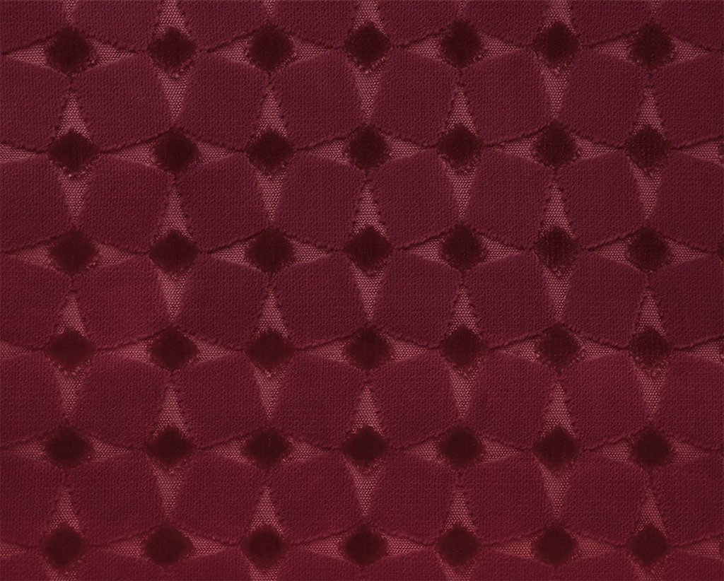 [1112140000012-Sample] Cruise FR – Col 12 – Muestra