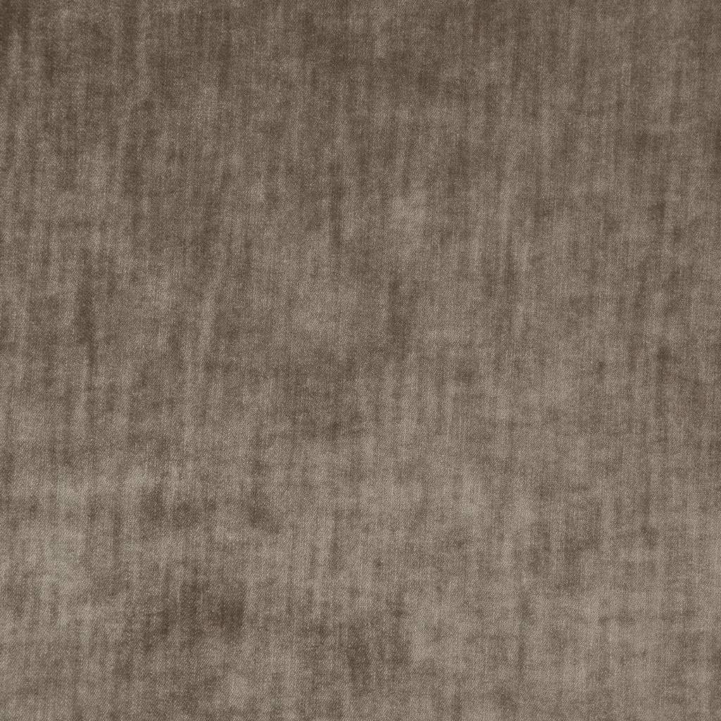 [1113360000014-Sample] Paxton FR – Col 14 – Muestra