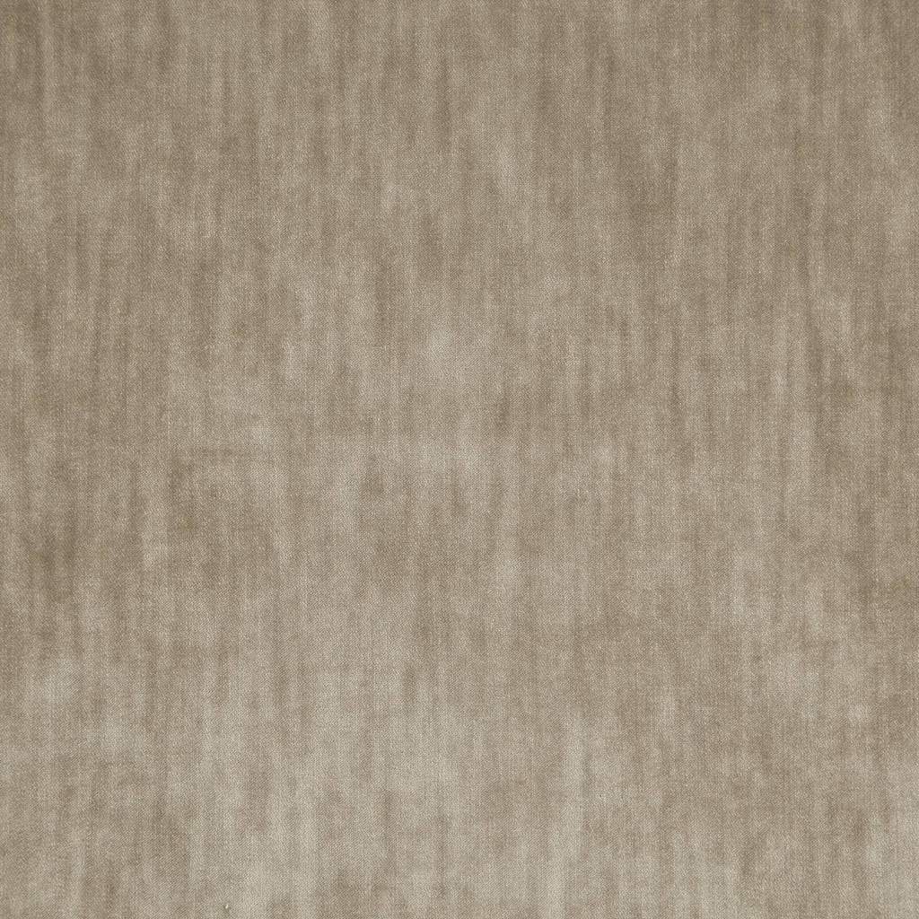 [1113360000015-Sample] Paxton FR – Col 15 – Muestra