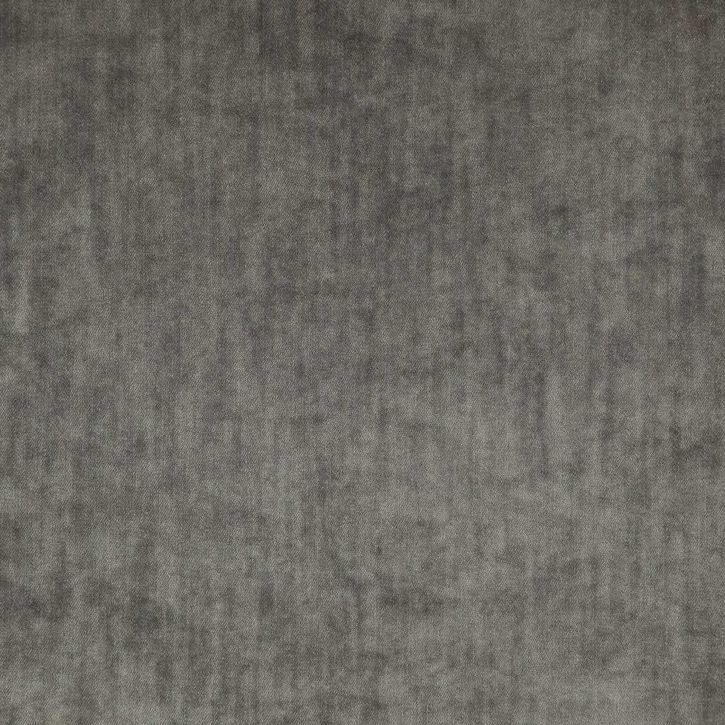 [1113360000025-Sample] Paxton FR – Col 25 – Muestra