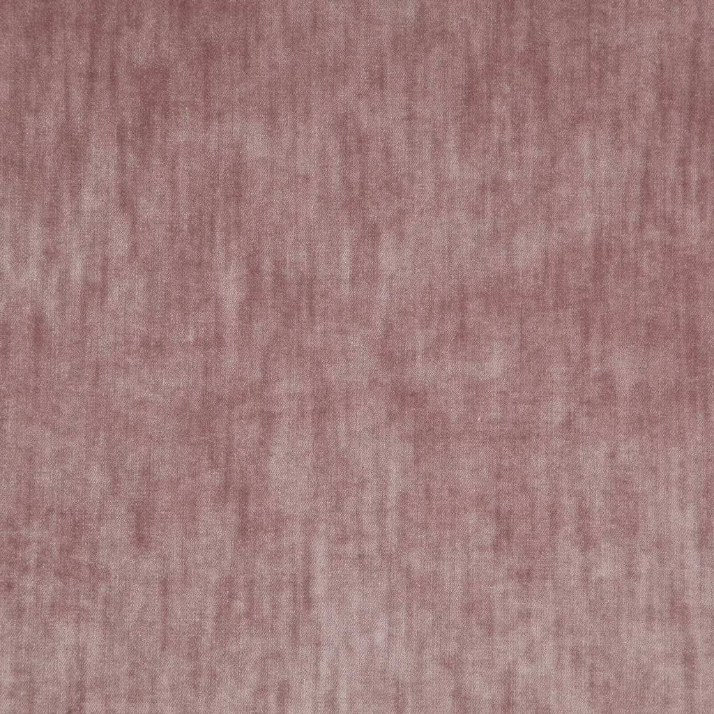 [1113360000028-Sample] Paxton FR – Col 28 – Muestra