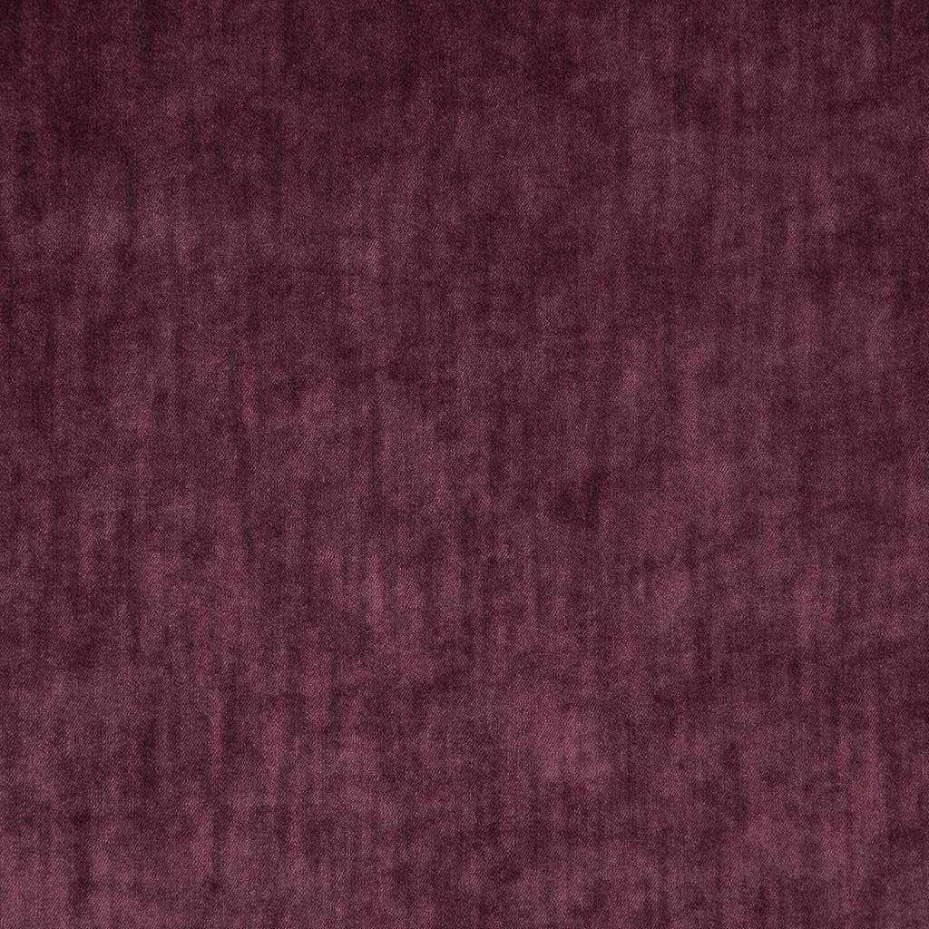 [1113360000029-Sample] Paxton FR – Col 29 – Muestra