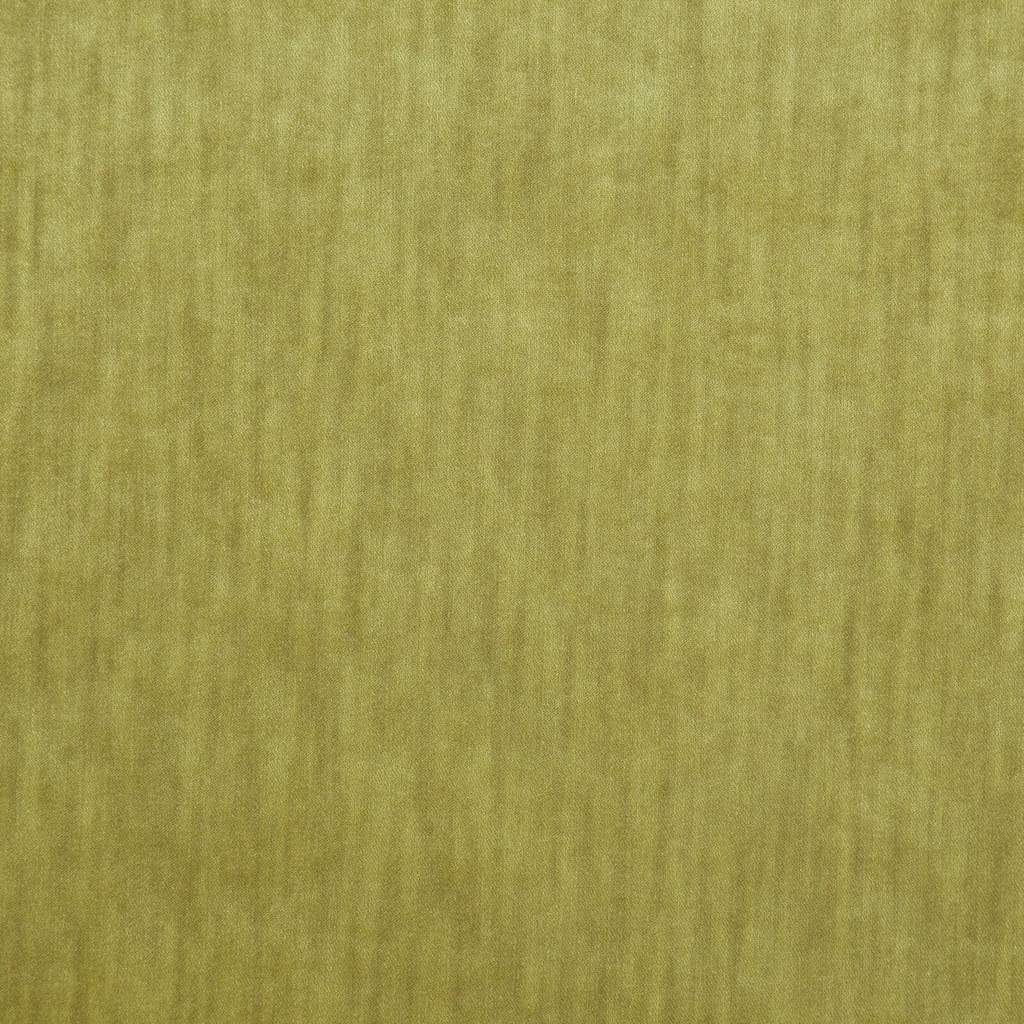 [1113360000033-Sample] Paxton FR – Col 33 – Muestra
