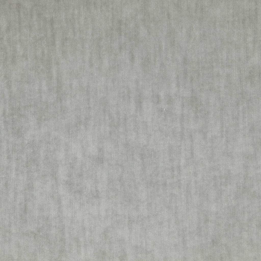 [1113360000008-Sample] Paxton FR – Col 8 – Muestra