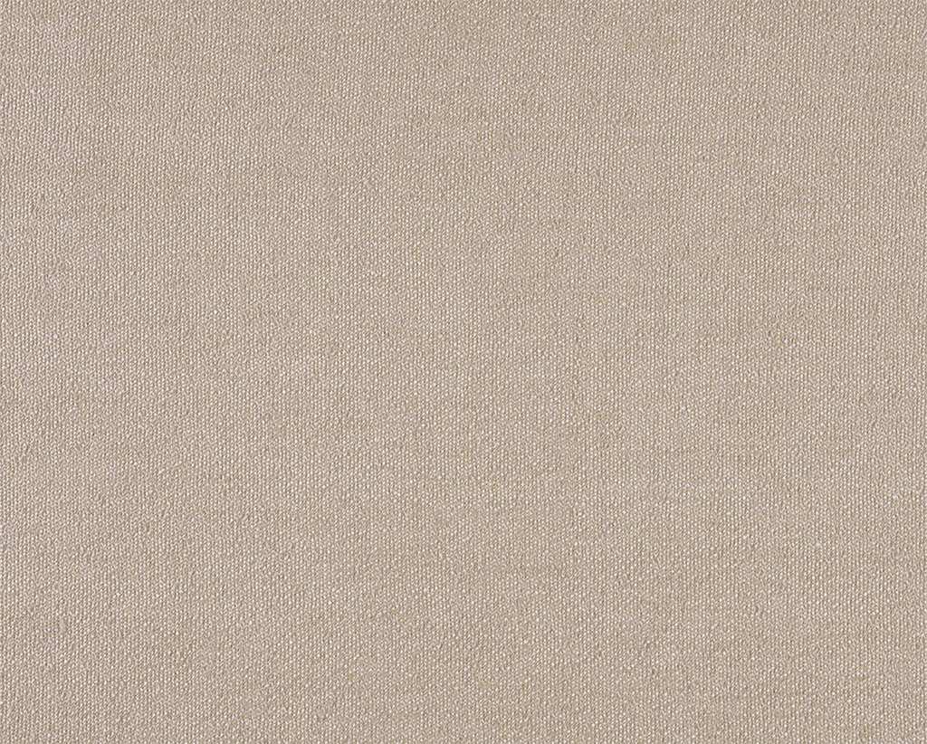 [1114540000002-Sample] Robinia – Col 2 – Muestra