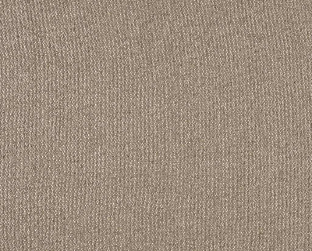 [1114540000003-Sample] Robinia – Col 3 – Muestra
