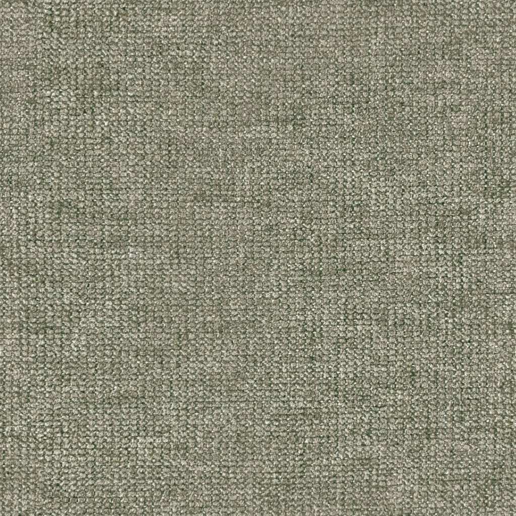 [1115340000006-Sample] Mimosa – Col 6 – Muestra