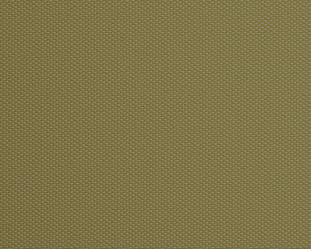 [1115460000010-Sample] Dita – Col 10 – Muestra