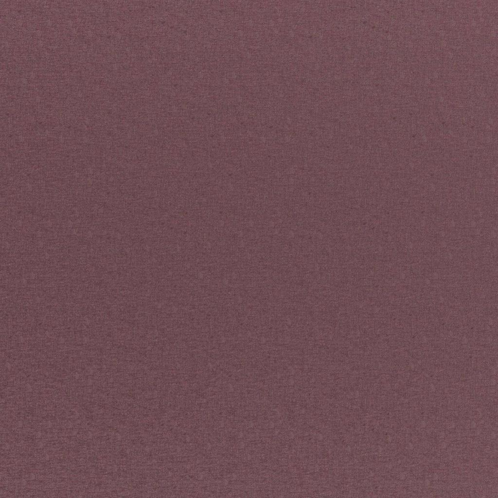 [1113370000021-Sample] Nickel FR – Col 21 – Muestra