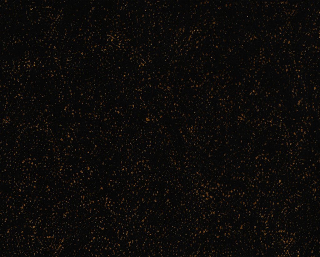 [1114500000006-Sample] Cembra – Col 6 – Muestra
