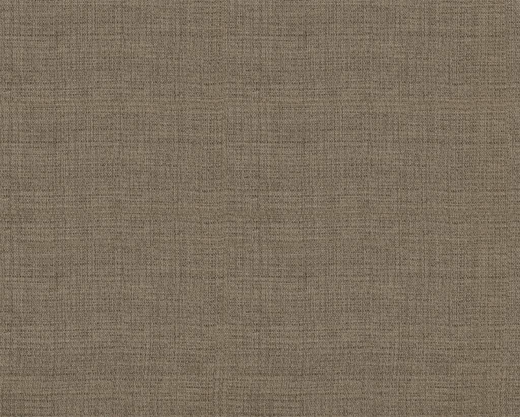 [1114530000010-Sample] Olea – Col 10 – Muestra