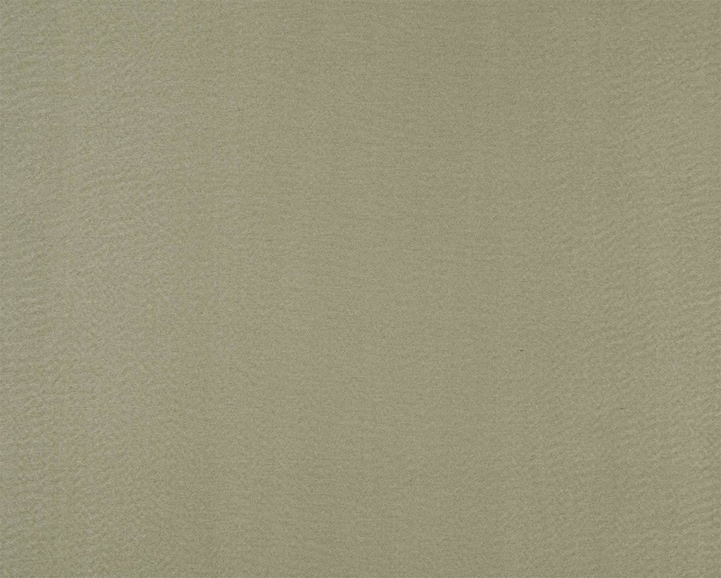 [1114550000011-Sample] Salix – Col 11 – Muestra
