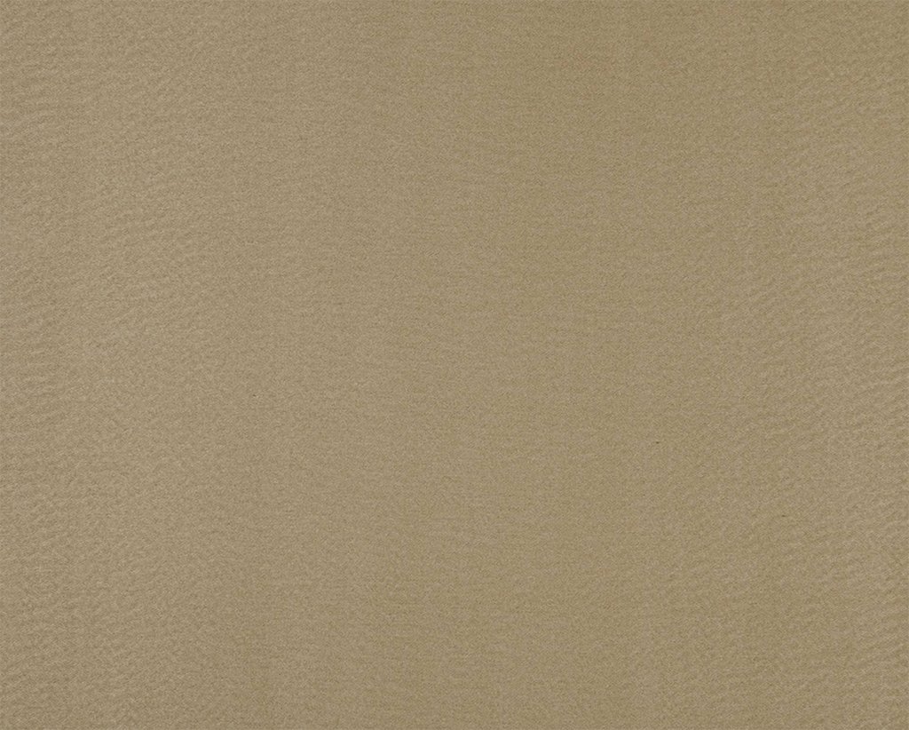 [1114550000013-Sample] Salix – Col 13 – Muestra