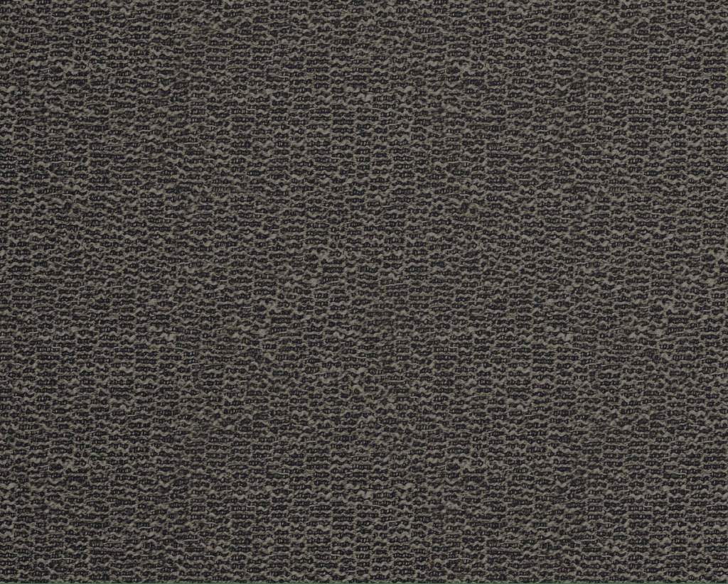 [1115400000006-Sample] Nigella – Col 6 – Muestra
